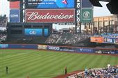 A Night at the Mets (2015)