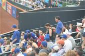 A Night at the Mets (2015)