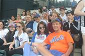 A Night at the Mets (2015)