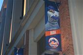 A Night at the Mets (2015)